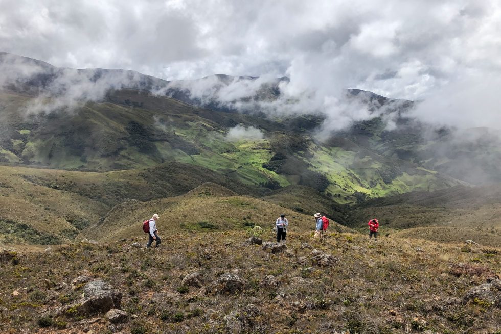 C&G y NEWCREST Exploraciones Ecuador